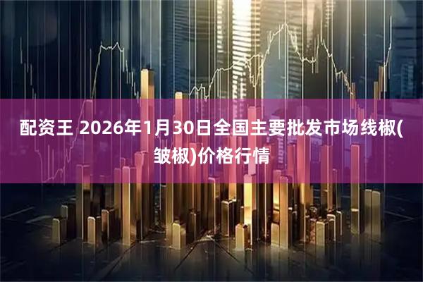 配资王 2026年1月30日全国主要批发市场线椒(皱椒)价格行情
