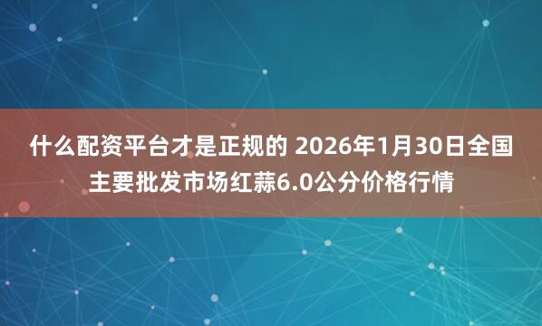 什么配资平台才是正规的 2026年1月30日全国主要批发市场红蒜6.0公分价格行情