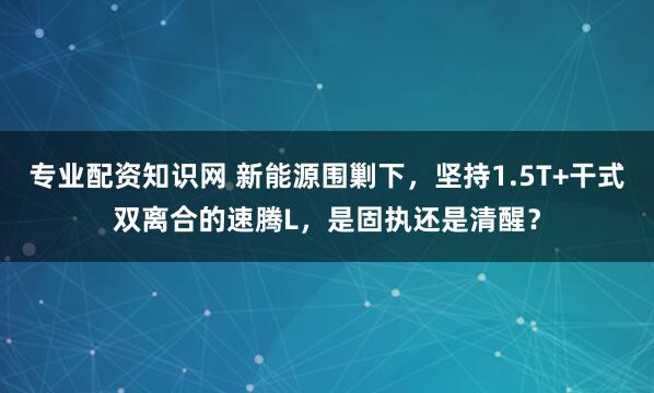 专业配资知识网 新能源围剿下，坚持1.5T+干式双离合的速腾L，是固执还是清醒？